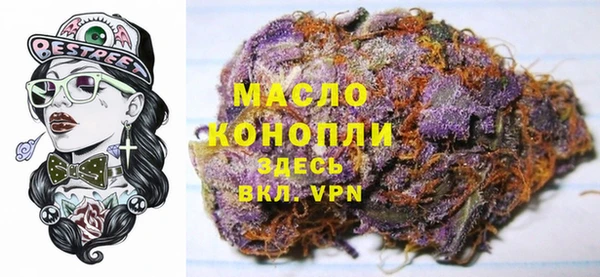 хмурый Михайловск