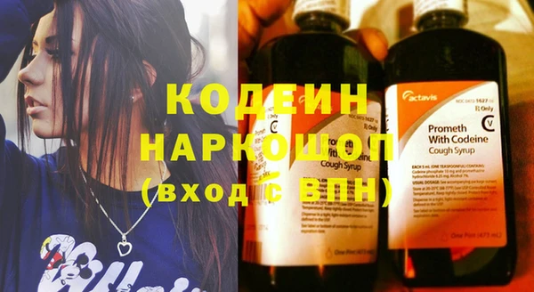 хмурый Михайловск