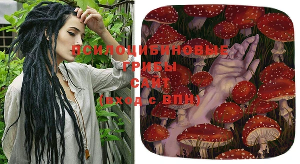 сатива Надым