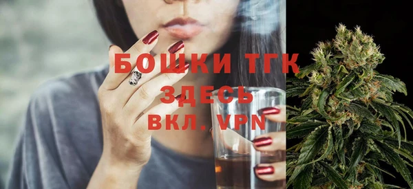 хмурый Михайловск