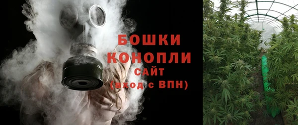 сатива Надым