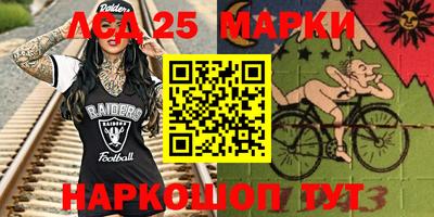 spice Новодвинск