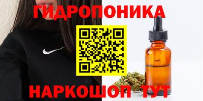 spice Новодвинск