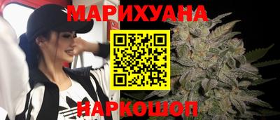 spice Новодвинск