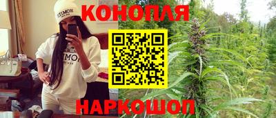 spice Новодвинск