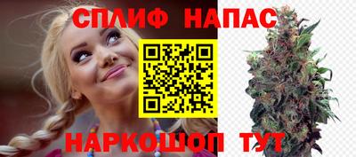 PSILOCYBIN Берёзовский