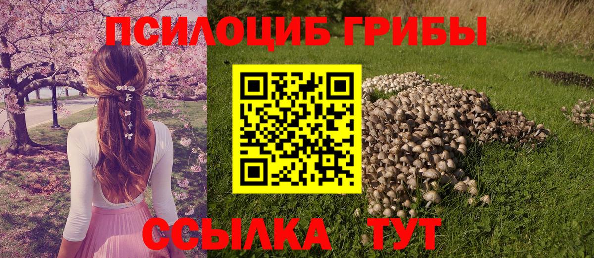 Галлюциногенные грибы прущие грибы  Вход с VPN  Галлюциногенные грибы MAGIC MUSHROOMS  Шарыпово 