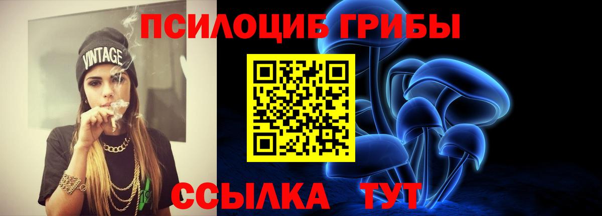 Галлюциногенные грибы Cubensis Шарыпово